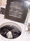 wash